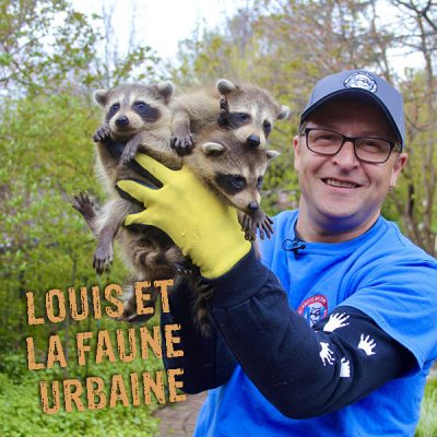 Louis-et-la-faune-urbaine_600-Copie